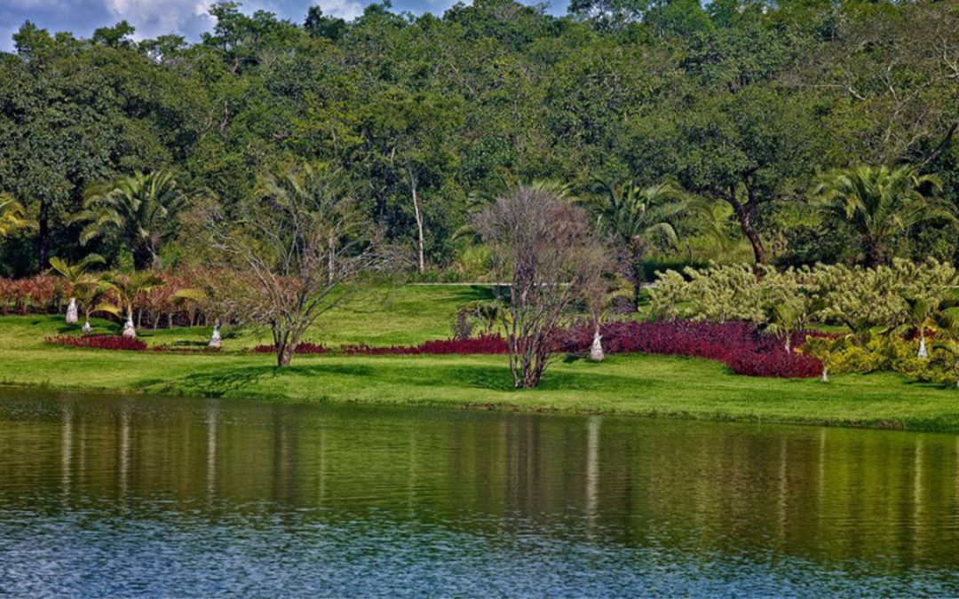 Fazenda CN ◽ Interior de Minas Gerais